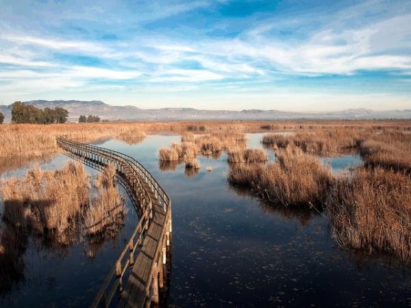 Los mejores parques naturales en Alicante - El fondo d’Elx y Crevillent