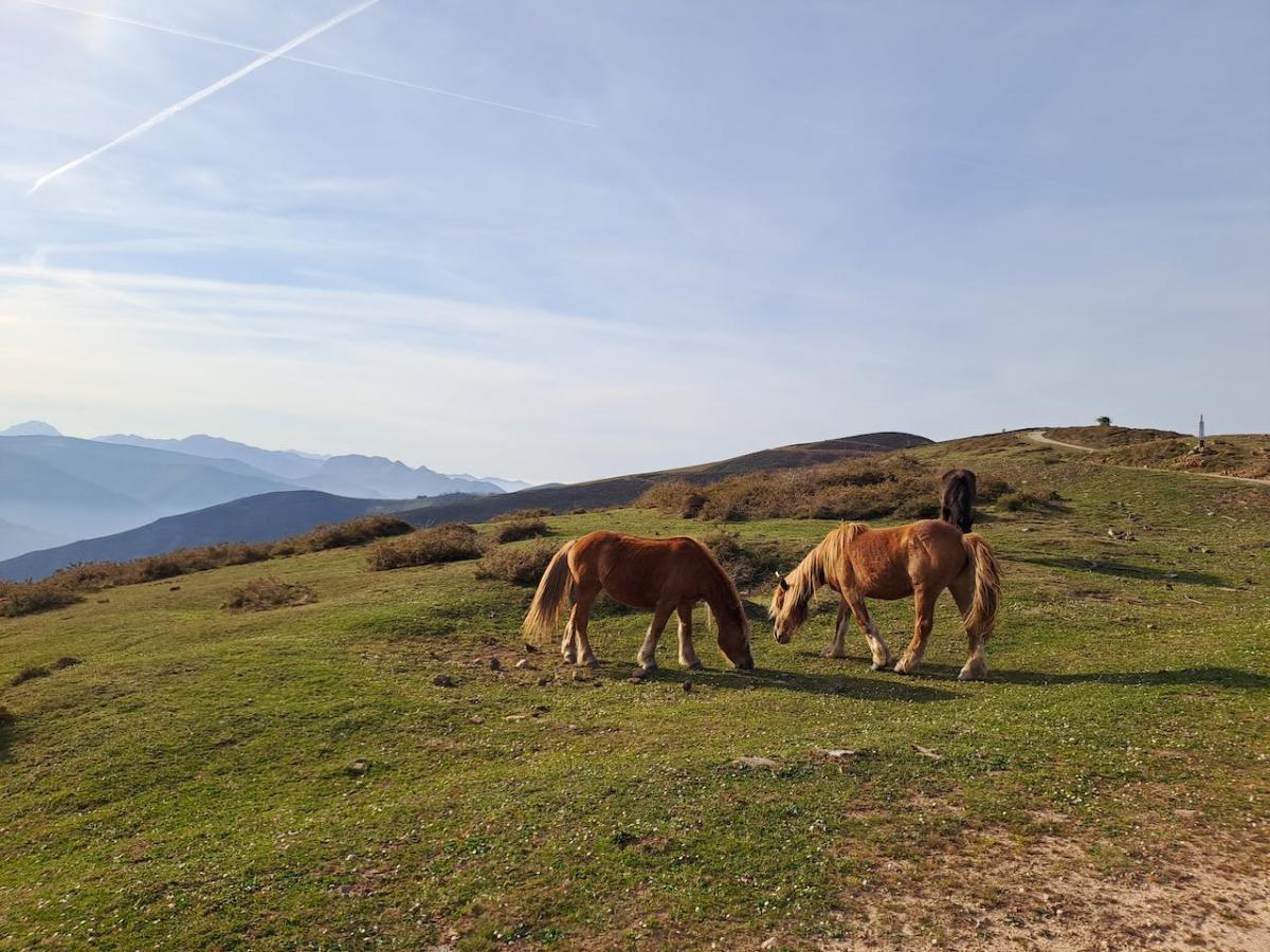 Pueblos más bonitos de Cantabria