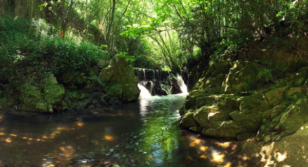 Los mejores parques naturales en Cataluña - Parque Natural del Montseny