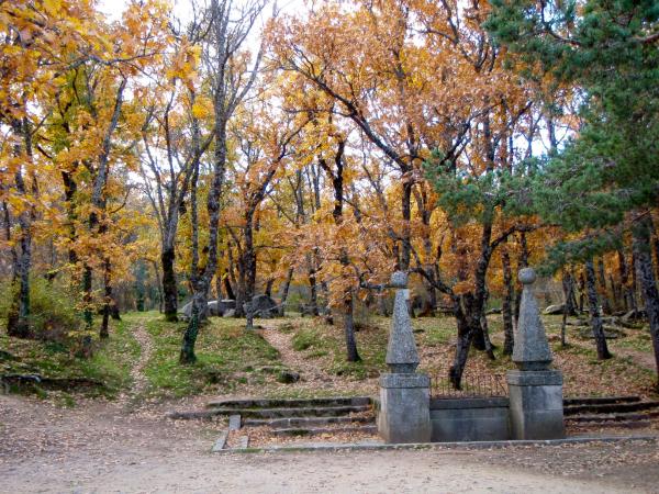 Los mejores bosques en Madrid - Bosque de La Herrería