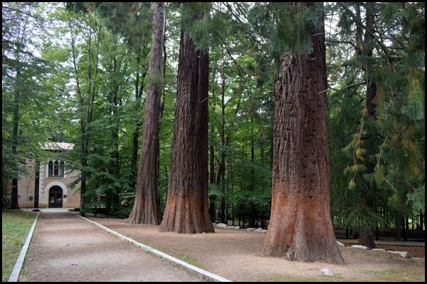 Bosques en Barcelona y alrededores - Can Casades