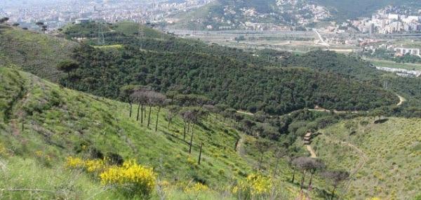 Bosques en Barcelona y alrededores - Parque de la Serralada de Marina