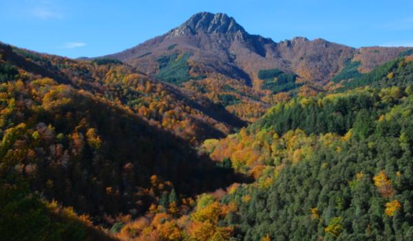 Bosques en Barcelona y alrededores - Parque natural del Montseny