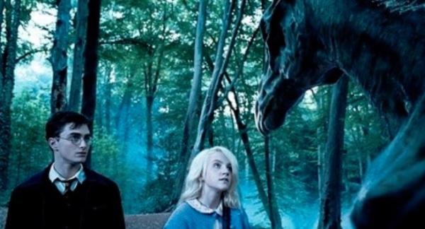 10 fallos en las películas de Harry Potter - Los thestrals y Harry Potter, otro fallo de la película