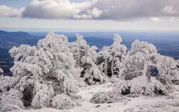 Rutas con raquetas de nieve en Madrid con niños - Cercedilla