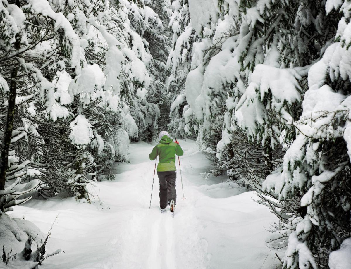 Mejores rutas con raquetas de nieve en Andorra