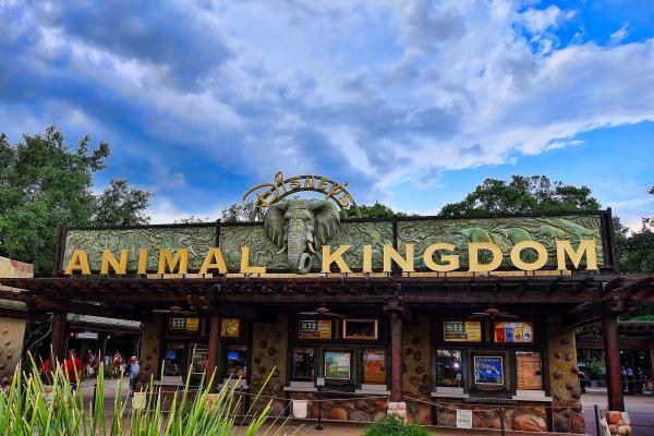 Los mejores parques de Orlando, Florida - Animal Kingdom