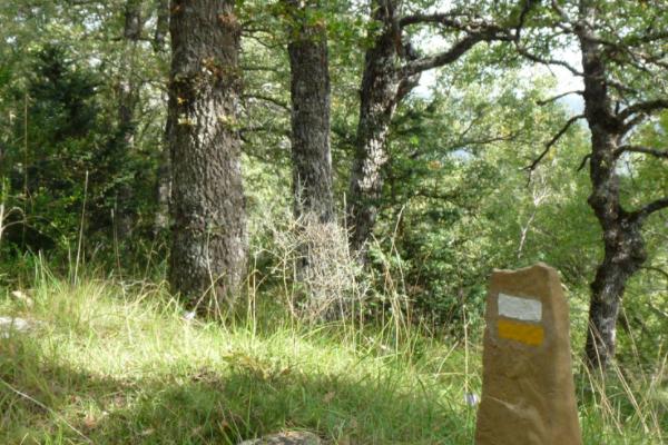 Senderos y rutas cerca de Pamplona - Alto de Irumuga 