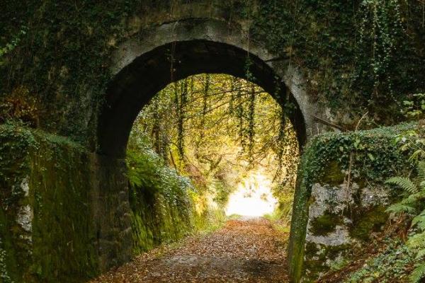 Senderos y rutas cerca de Pamplona - Vía Verde del Plazaola