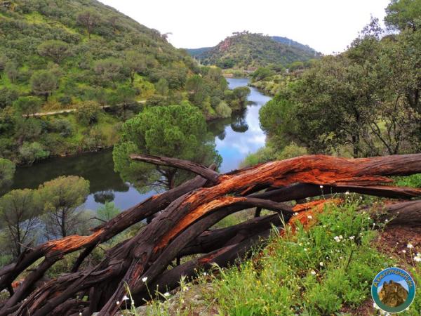 Piscinas naturales cerca de Madrid - El Embalse de Picadas