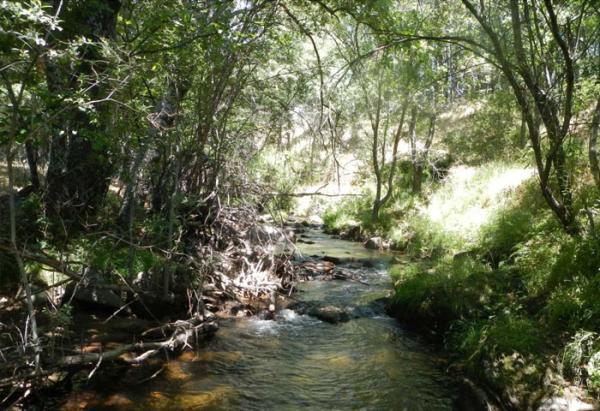 Piscinas naturales cerca de Madrid - La Tejera