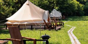 Los mejores glamping en el bosque en CDMX