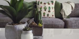 Tiendas de decoración en CDMX
