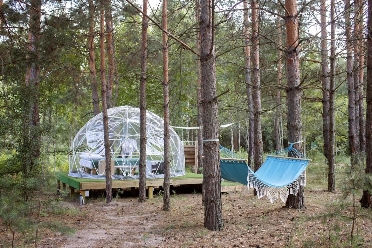 Los mejores hotel burbuja de México