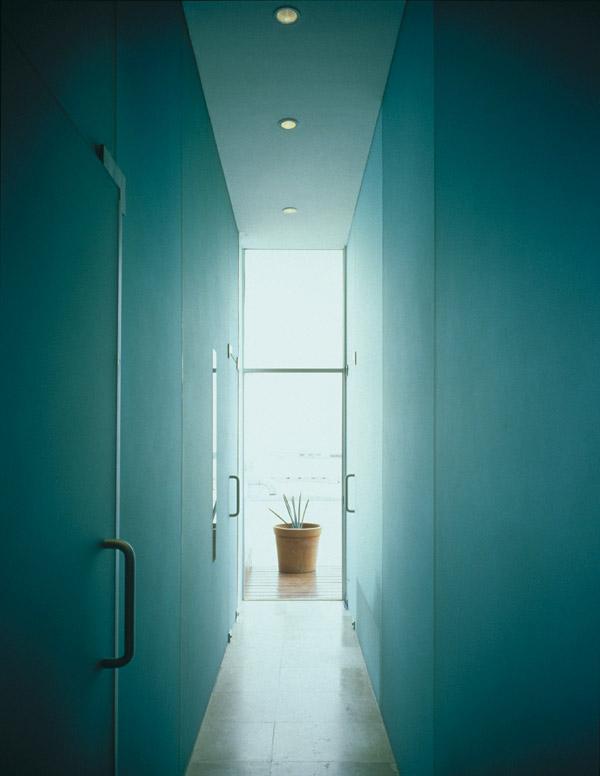 Habita