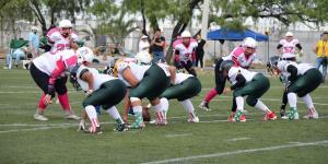 Unidad Deportiva Lázaro Cárdenas
