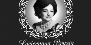 Luciérnaga Bruxia Cafeteria