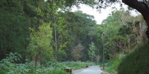 Parque Tolteca