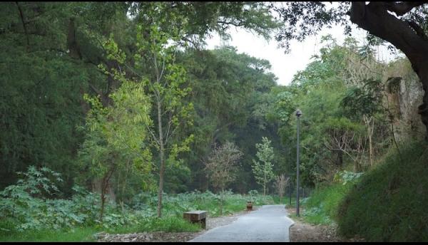 Parque Tolteca