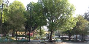 Jardín Centenario