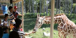 Zoológico Guadalajara