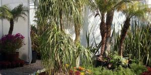 Vivero Lincoln