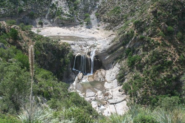 Potrero Prieto