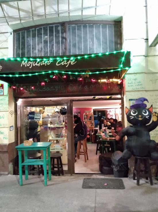 MojiGato Café