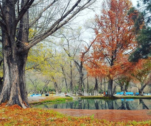 Ojo de Agua San Lorenzo
