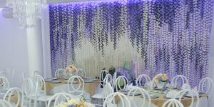 Wisteria Eventos