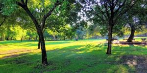 Parque Bosques Del Valle