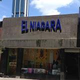 El Niagara del Norte