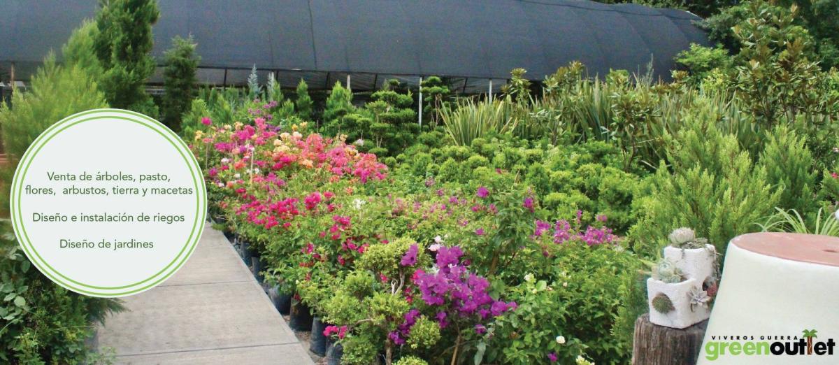 Vivero Guerra Greenoutlet