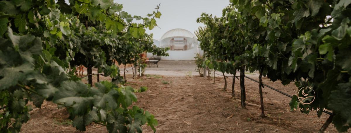 Campera Hotel Burbuja