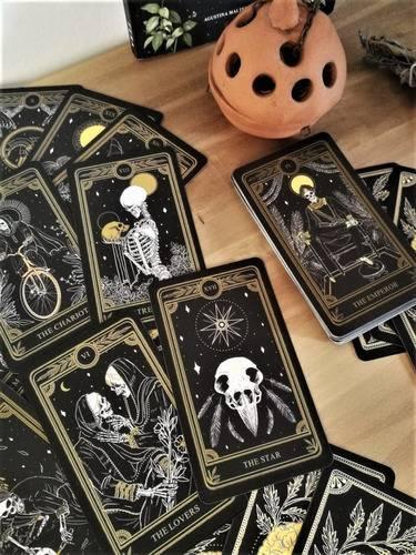 Carlos Fernández Tarot