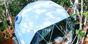 Jungle Eco Tree House