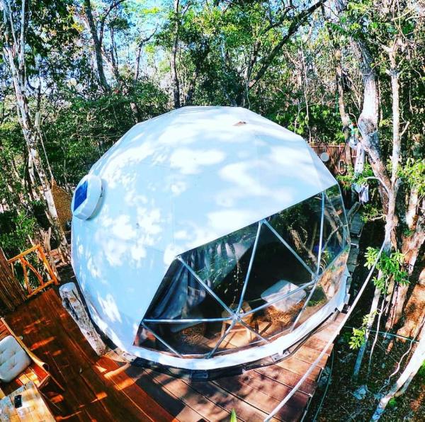 Jungle Eco Tree House