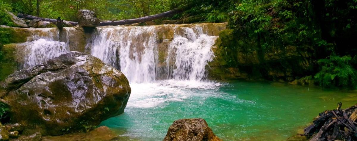 Parque Natural La Estanzuela