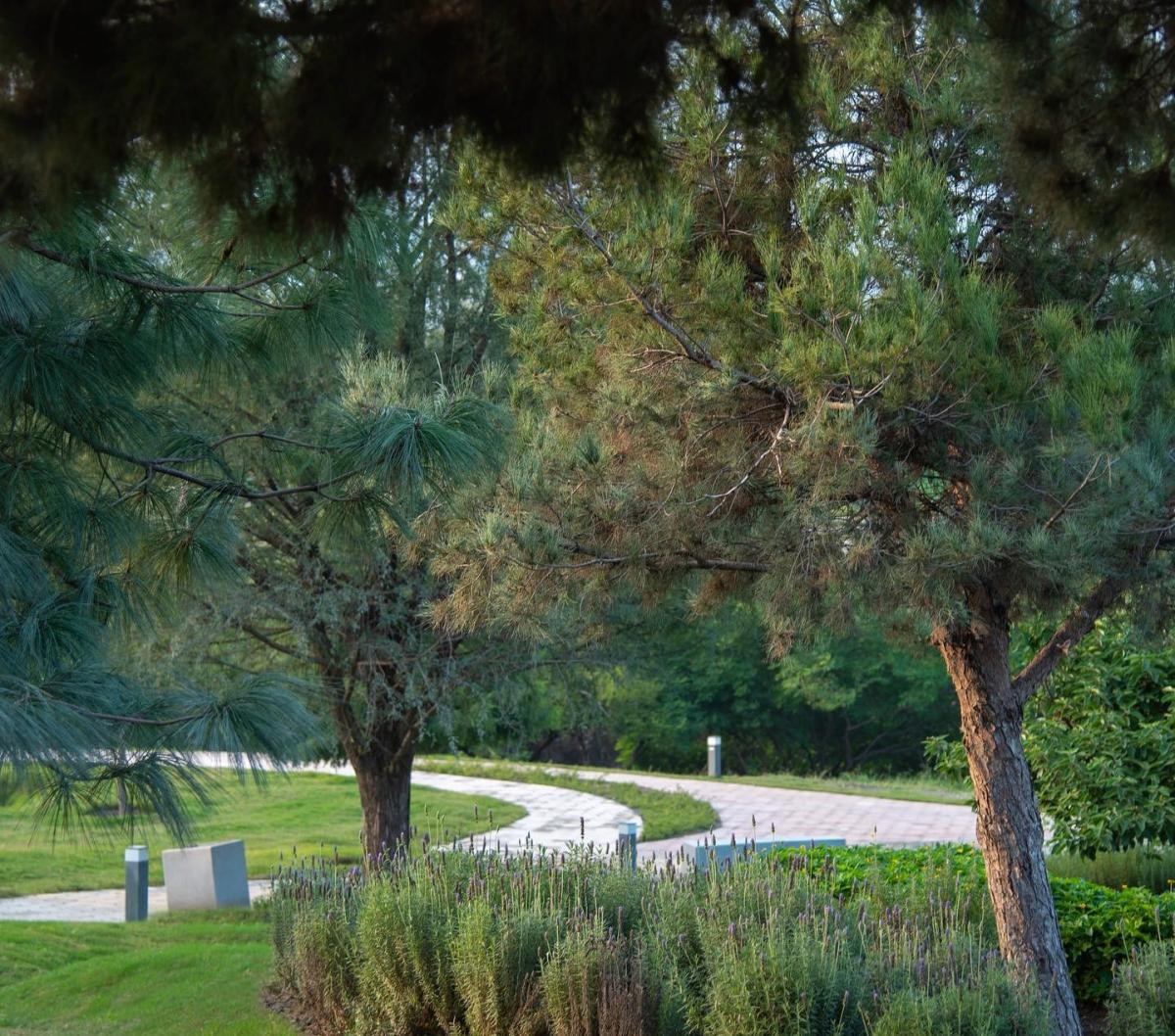 Parque Rufino Tamayo